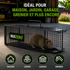 Pièges anti-rongeurs